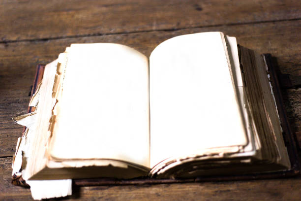 istock Antique Worn and Torn Open Book with Blank Pages 1166436891