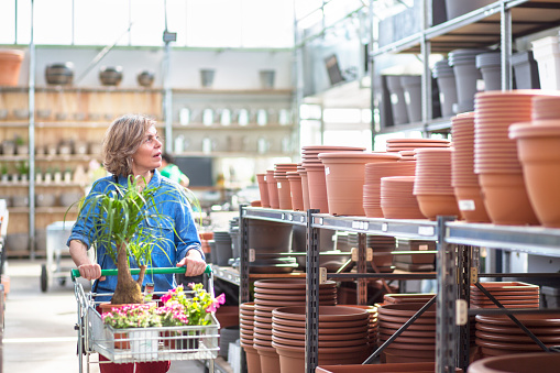 Woman in her 40s pushing shopping cart filled with flowering plants past shelves of terracotta pots in garden center.
