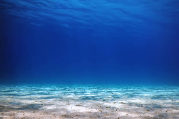 istock Underwater view of the sea surface. 1166437897