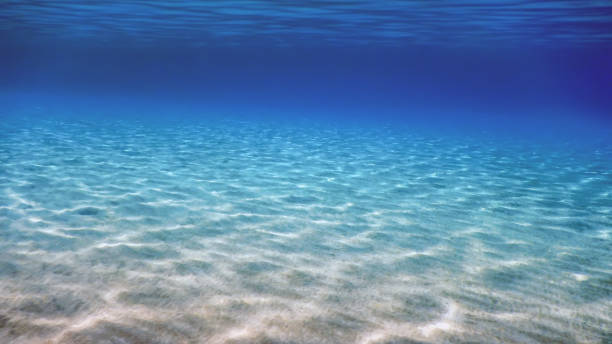 istock Underwater Blue Ocean, Sandy sea bottom Underwater background 1166438232