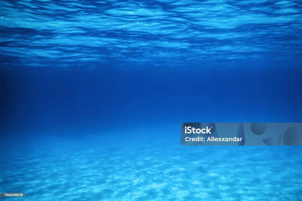 Underwater Blue Ocean Sandy Sea Bottom Underwater Background Stock ...