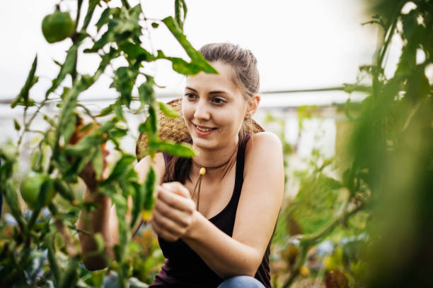 istock Young Urban Farmer Harvesting Ripe Vegetables 1166439522