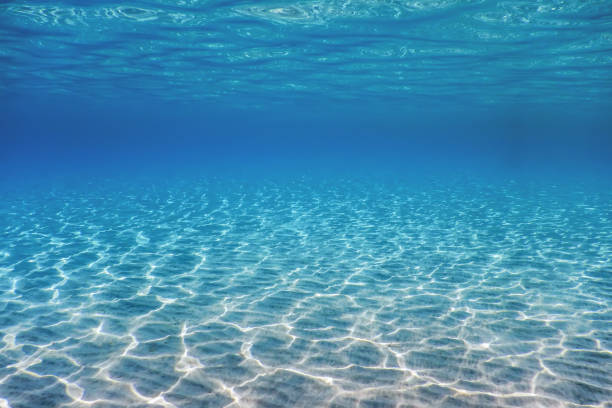 istock Underwater Blue Ocean, Sandy sea bottom Underwater background 1166439749