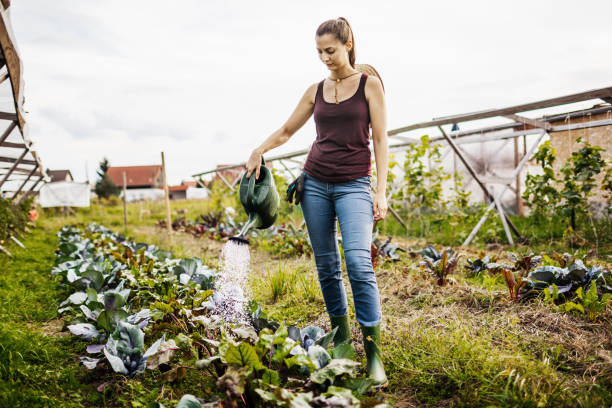 istock Urban Farmer Caring Fort Plots By Hand 1166439841
