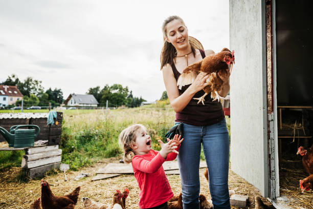 istock Urban Farmer Caring For Chickens With Daughter 1166439968
