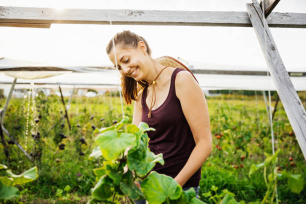 istock Urban Farmer Smiling While Tending To Plots 1166439982