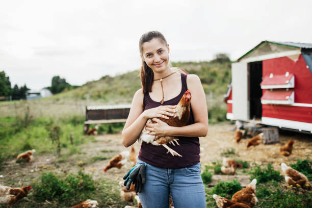 istock Urban Farmer Holding Chicken While Working On Farm 1166440117
