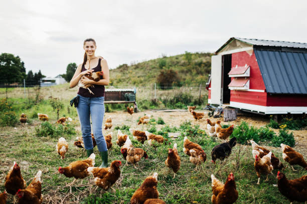 istock Portrait Of Urban Farmer With Free Range Chickens 1166440749