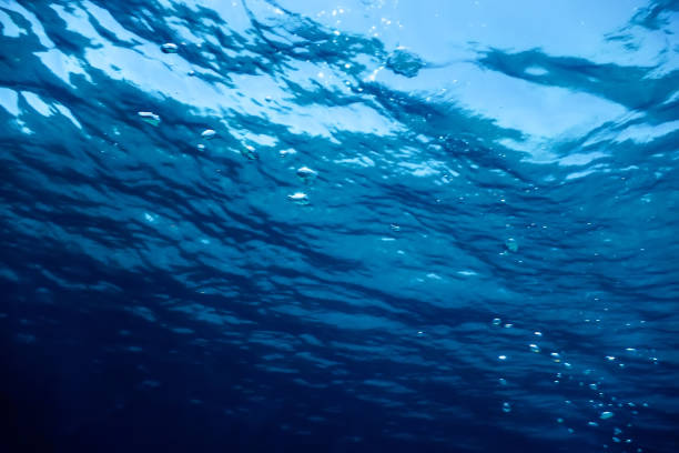 istock Underwater view of the sea surface. 1166440772