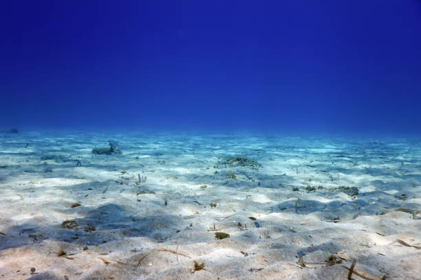 Underwater Blue Ocean, Sandy sea bottom Underwater background