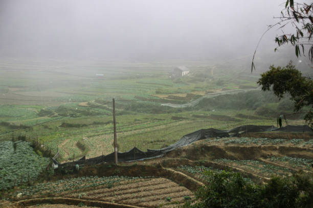 istock Beautiful Sapa, Vietnam 1166443595