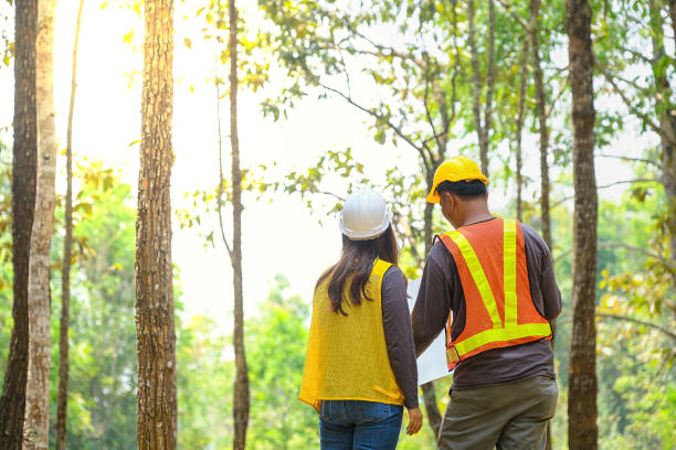 Asian engineers, men and women exploring the forest