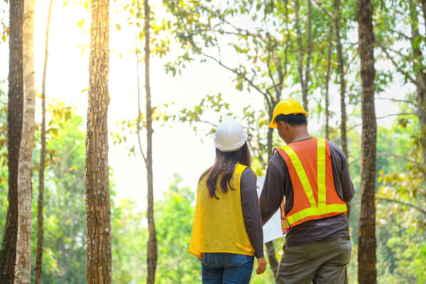 Asian engineers, men and women exploring the forest stock photo