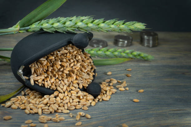 istock Wheat seeds spilling from purse and fresh ear 1166446682