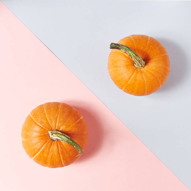 Pumpkin on Dual Color Pastel Background