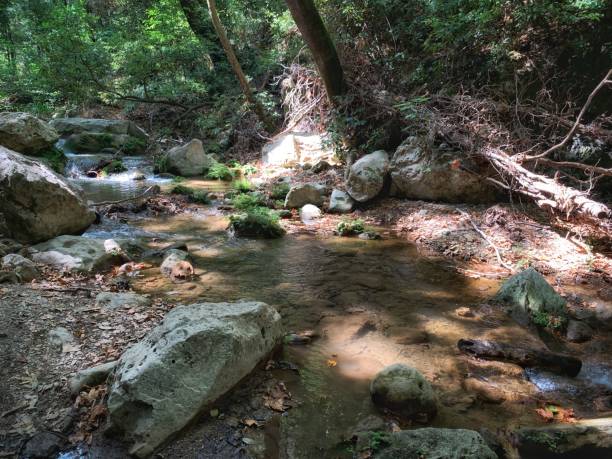 istock Nature on Samos, Potami Waterfalls 1166454466