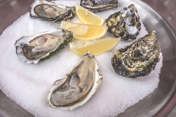 istock Fresh oysters and lemon on ice in metal plate 1166456005