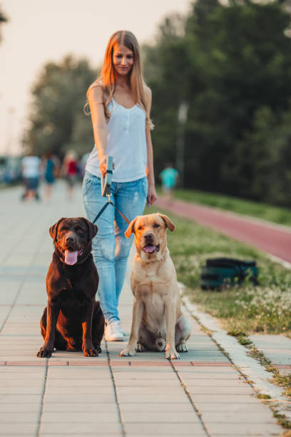 istock Girl walking two dogs 1166456312