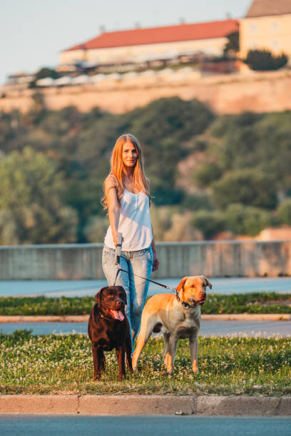istock Girl walking two dogs 1166456320