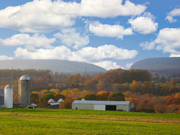istock Delaware Farm Country 1166456466
