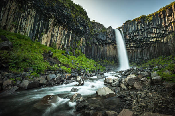 istock Svartifoss or Black Waterfall in Iceland 1166456536