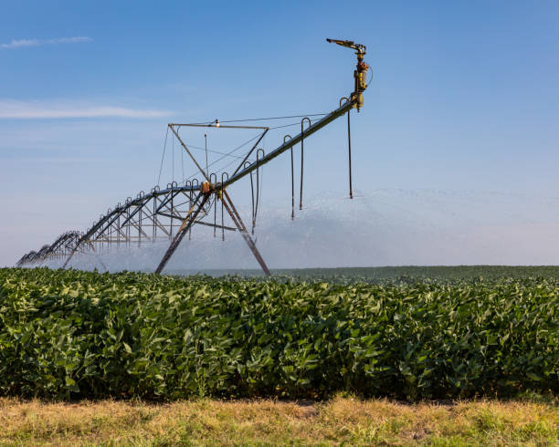 Closeup of center pivot irrigation system spraying water on soybean farm field Hot weather and little rain has created drought like conditions in parts of Illinois rolling field stock pictures, royalty-free photos & images