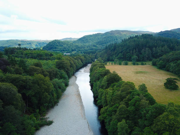 istock Aerial view of a river bed and forest 1166465874