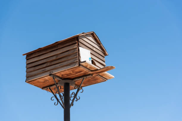 caja de anidación de madera contra el cielo azul. copiar espacio. - birdhouse house bird house rental fotografías e imágenes de stock