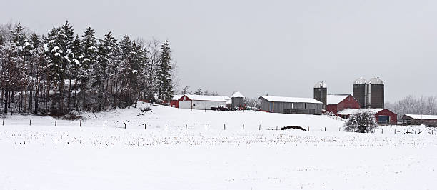 istock Farmstead Panorama in a spring snow storm 116646609