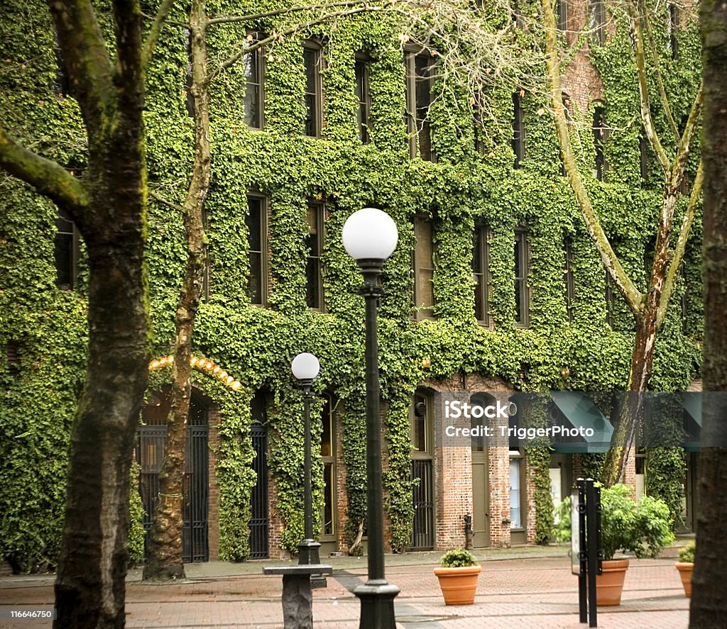 Seattle Paisagem - Royalty-free Pioneer Square - Seattle Foto de stock