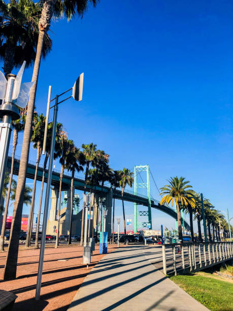 istock San Pedro docks with Vincent Thomas Bridge at dusk 1166468256