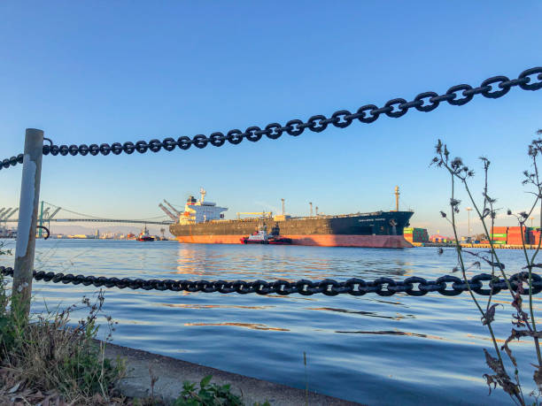 istock San Pedro docks with Vincent Thomas Bridge at dusk 1166468262