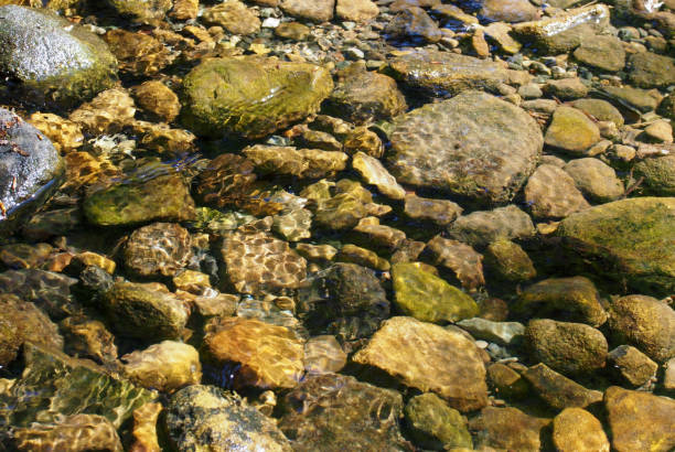 istock pebbles and rocks in a shallow stream with ripples reflecting sunlight in the water 1166468335