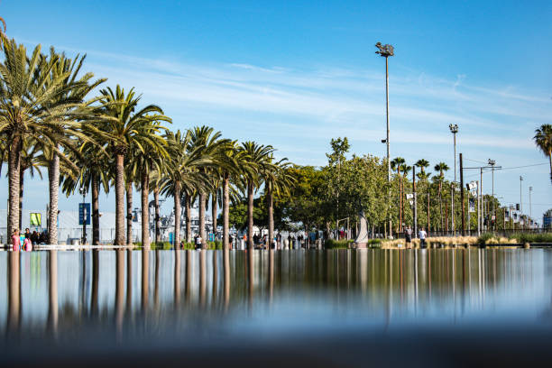 istock Water reflection of palm trees in fountain pool 1166468485