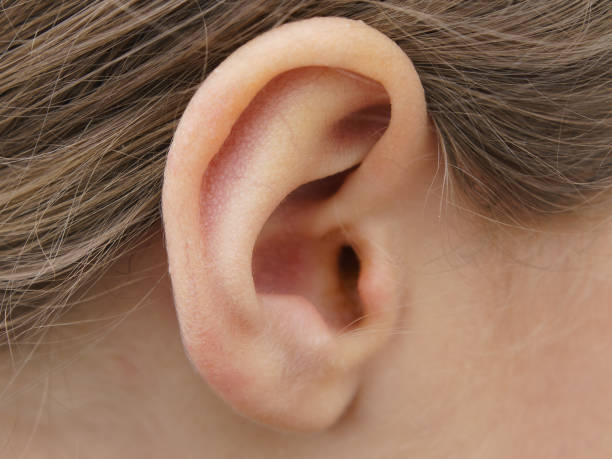 istock Photograph of a child’s ear. 1166468540