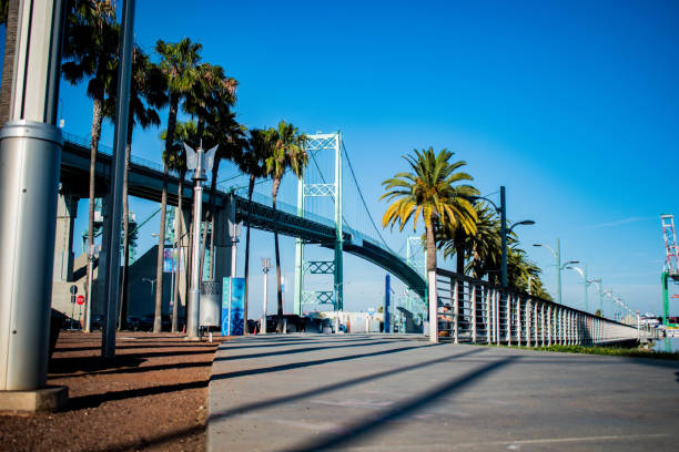 istock View of Vincent Thomas Bridge in San Pedro during day 1166468548