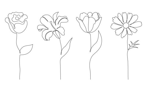 Jogo das flores - ilustração de arte em vetor