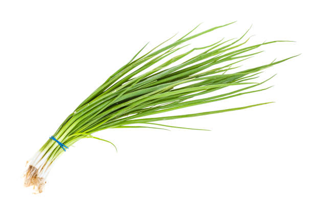 Green spices and herbs