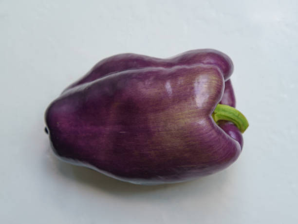 Purple sweet pepper