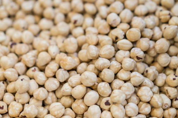 Stacked of Peeled hazelnut