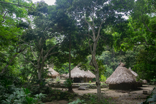 Kogi Village en el Parque Natural Nacional Tayrona photo