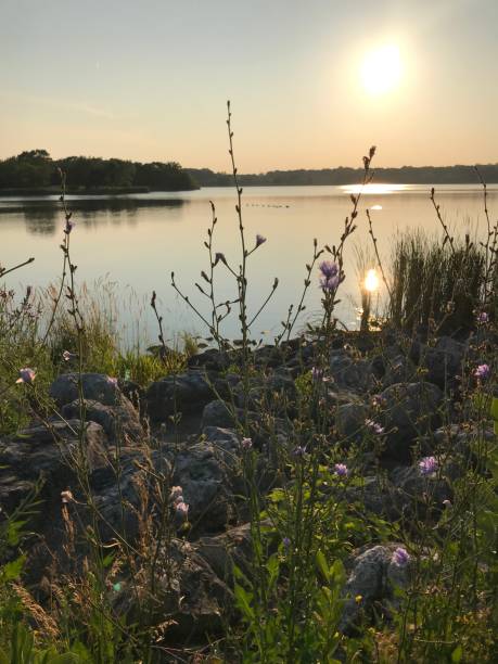 coucher du soleil sur le lac. - schaumburg photos et images de collection