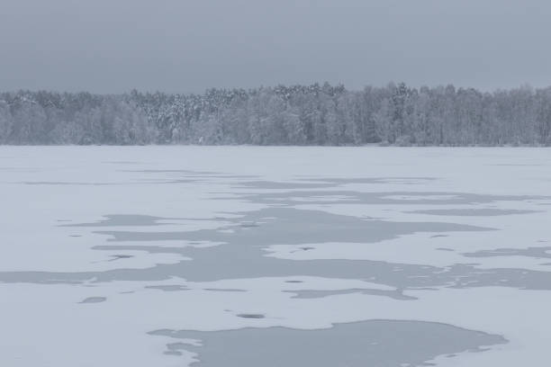 istock bavarian winter landscape next next to schwandorf 1166479037