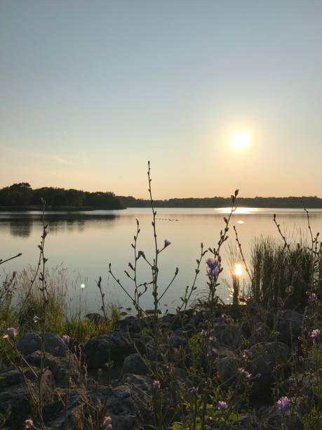 istock Calm sunset on the lake. 1166479108
