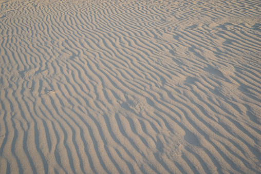 Beautiful pattern of sand ripples and waves caused by the wind.