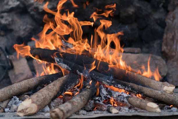 Close-up of a wood fire burning