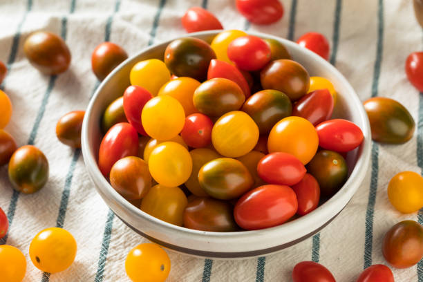 tomates cerises biologiques crues - heirloom cherry tomato photos et images de collection