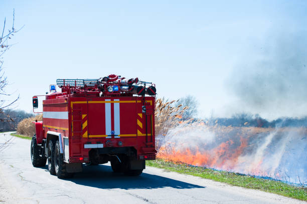 istock Fire, strong smoke. Burning reed in the swamp. Natural disaster 1166485716