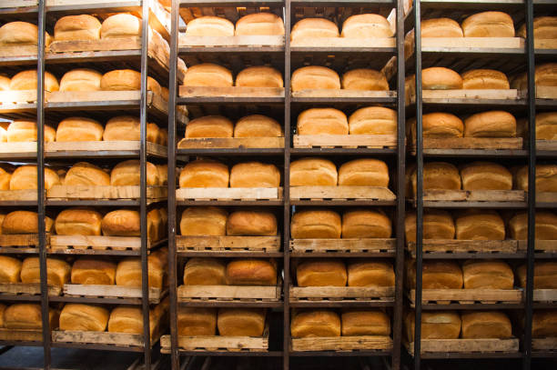 istock Bakery. Production of bread, rolls, pies and cookies 1166485819