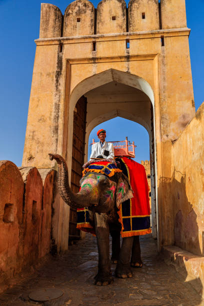 homme indien (mahout) conduisant sur l'éléphant près du fort d'ambre, jaipur, inde - cornac photos et images de collection